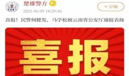 楚雄新闻头条怎么爆料,市民积极爆料，共同守护家园安宁